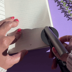 Mystical Forrest Clip